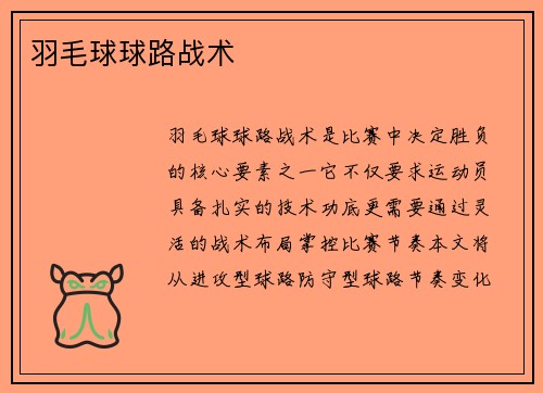羽毛球球路战术